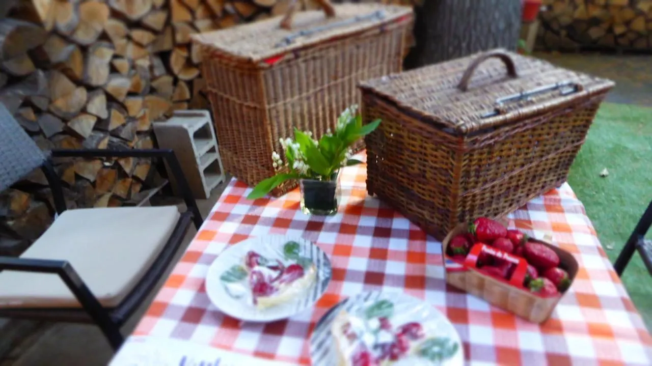 CABANE perchée dans les arbres et terrasse ensoleillée Robion Appartement
