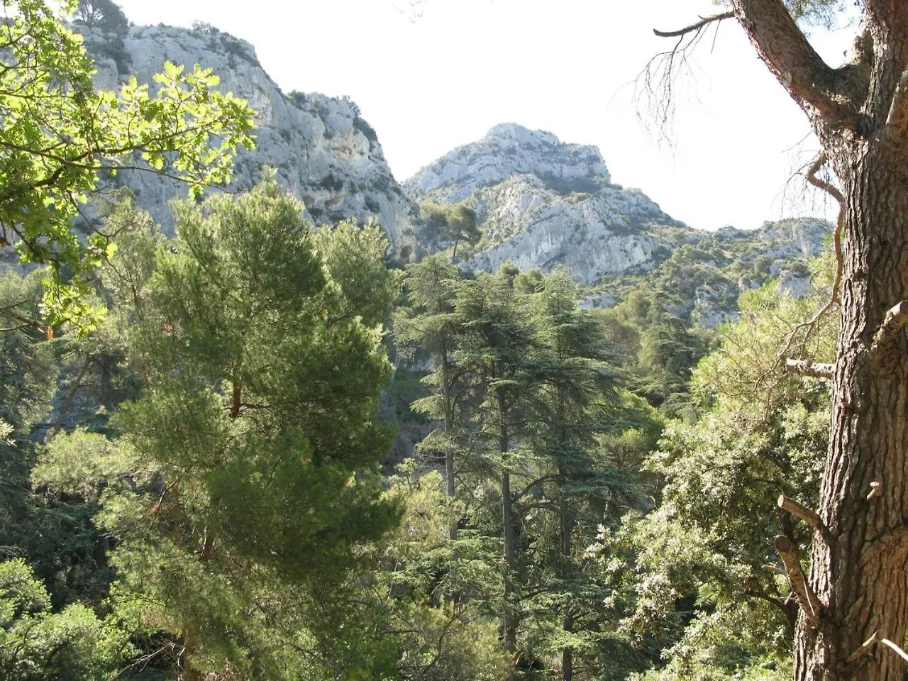CABANE perchée dans les arbres et terrasse ensoleillée Robion Appartement